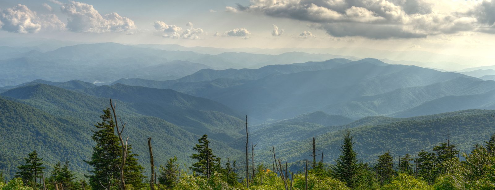 Divyarshi Art & Craft