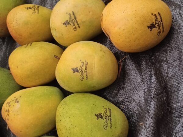 Devgad Alphonso Mango