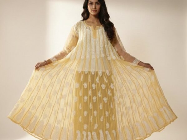 Women's Chikankari 56 kali Anarkali | Divyarshi Art & Craft