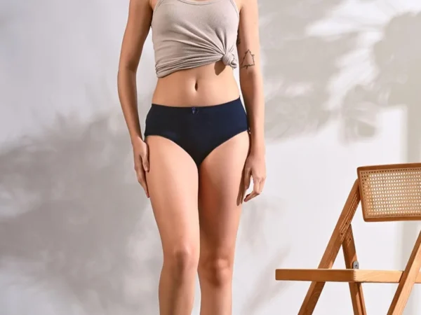 ASJAR Ice Silk Panty Seamless Panties Bikini Smooth Stretch Hipster Panties for Women Panty Set Undergarments (L) Multi-Colour | AJSAR