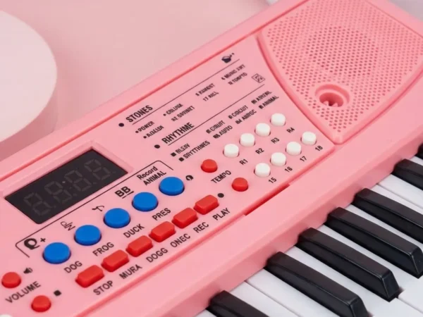 Multicolor Abs Plastic Sun Tunes Piano For Children (Musical Toys) | ENSHOP