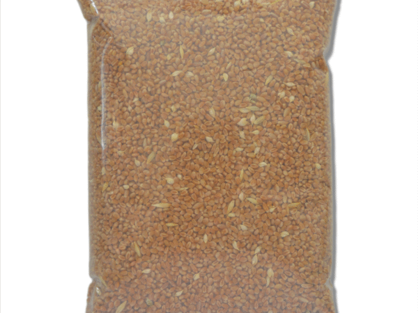 SONAMOTI WHEAT (1KG) | Organic Sona Moti Gehu | Sugar Free Wheat | Rich in Fibre, Nutrition & Minerals | 100% Natural & Chemical Free