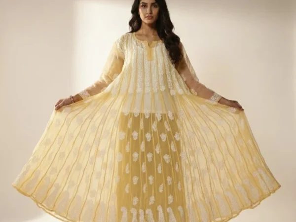 Women’s Chikankari 56 kali Anarkali | Sirohi fashion