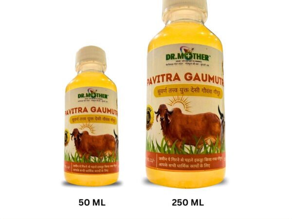Original Gaumutra for Puja 100ML | Gomay Zone