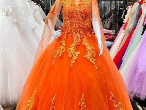 Designer Gown 10 – Elegant Party Wear & Wedding Gown for Women | SHREE JI NX
