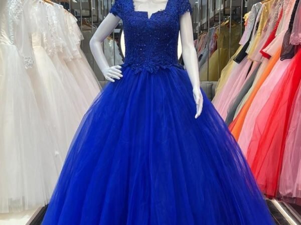 Designer Gown 14 – Elegant Party Wear & Wedding Gown for Women | SHREE JI NX