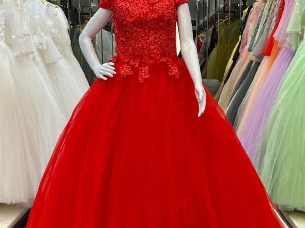 Designer Gown 17 – Elegant Party Wear & Wedding Gown for Women | SHREE JI NX