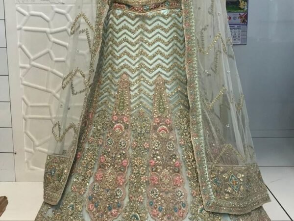 Bollywood Lehenga 1 – Designer Party Wear & Wedding Lehenga for Women | SHREE JI NX
