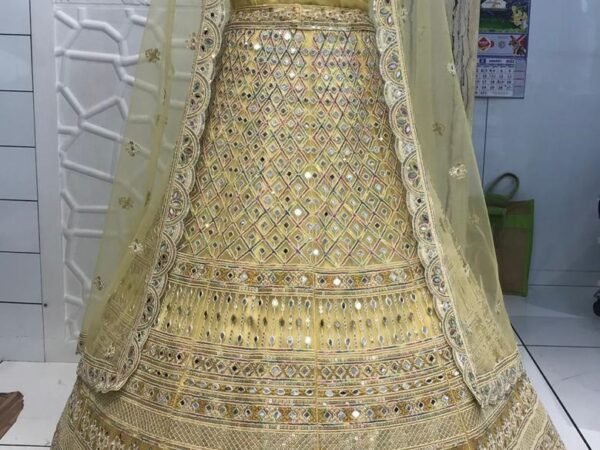 Bollywood Lehenga 2 – Designer Party Wear & Wedding Lehenga for Women | SHREE JI NX
