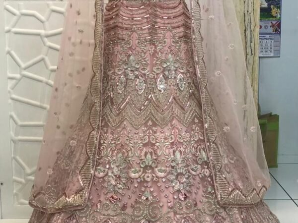 Bollywood Lehenga 11 – Designer Party Wear & Wedding Lehenga for Women | SHREE JI NX