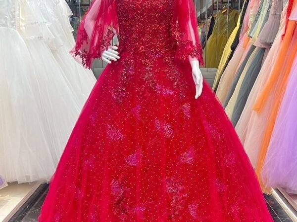 Designer Gown 2 – Premium Party Wear & Wedding Gown for Women | SHREE JI NX