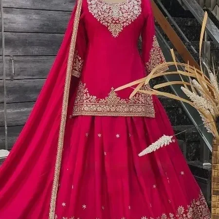 Rani Exquisite Heavy Work Punjabi Suit Set For Women & Girl | Designer Ethnic Wear | BRAD LEEZO