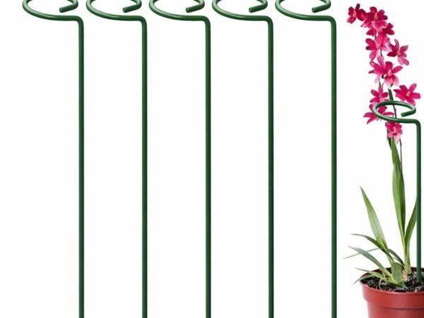Metal Plant Support Stakes for Climbing Plants Pack of 5 | Garden Support Rods | Junaid Khan